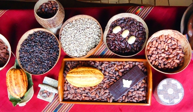 Recorrido turístico en la Ruta del Cacao
